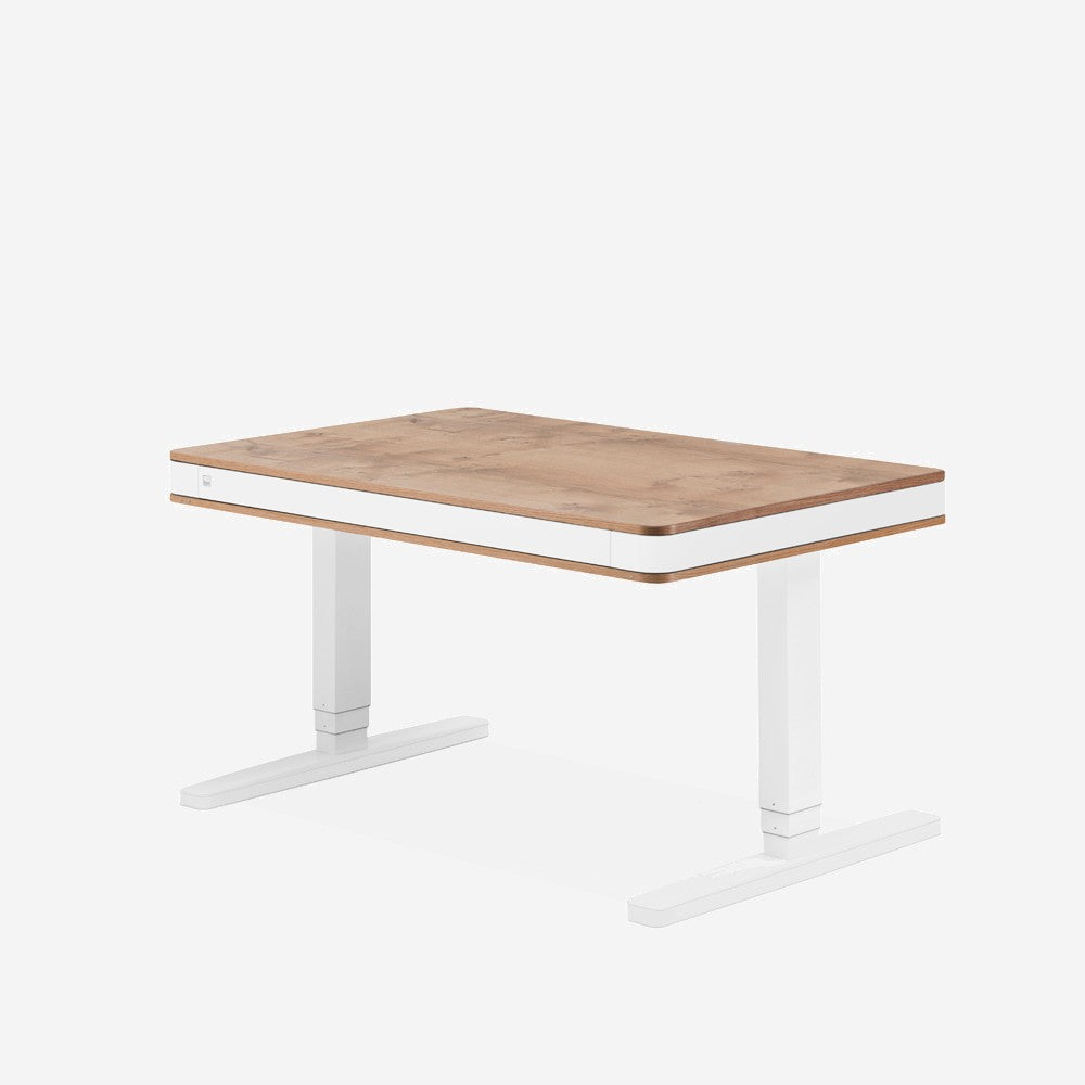 MOLL STAAND BUREAU